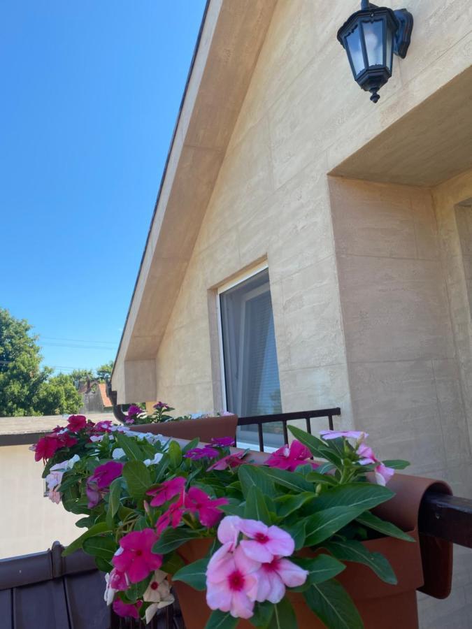Omis Rooms Pancevo Exterior photo